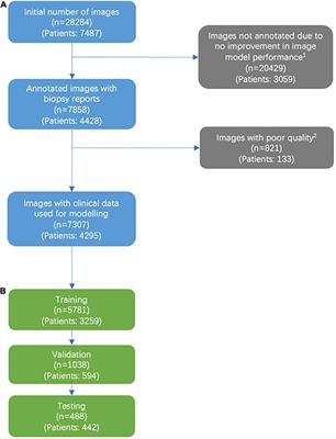 Use of convolutional neural networks in skin lesion analysis using real world image and non-image data